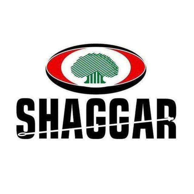 Shaggar City Administration logo